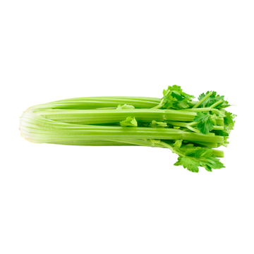 Celery