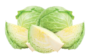 Green Cabbage