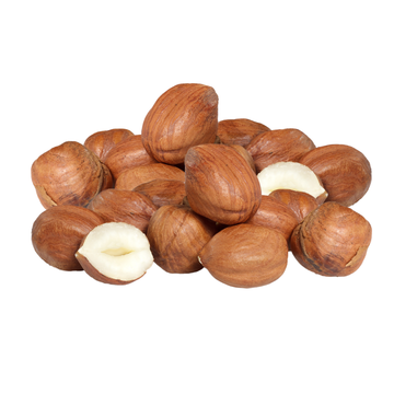Raw Hazelnuts