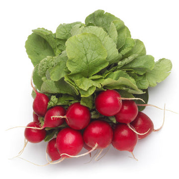 Bunch Radish