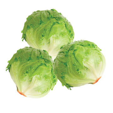 Iceberg Lettuce