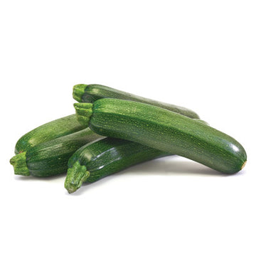 Zucchini Squash