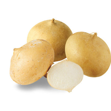 Jicama