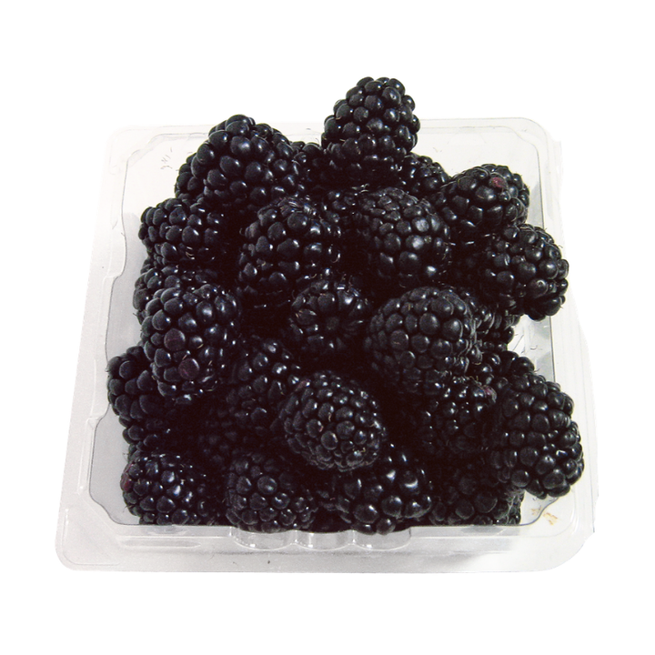 Blackberries 6 oz Pkg 