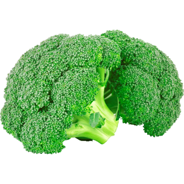 Broccoli 