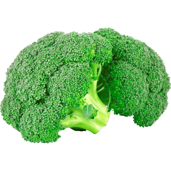 Broccoli 