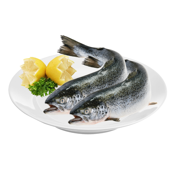 Fresh Whole Trout