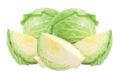 Green Cabbage 