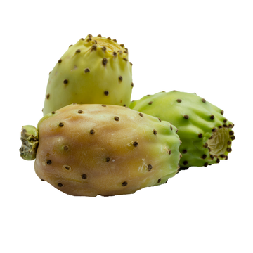 Green Cactus Pears