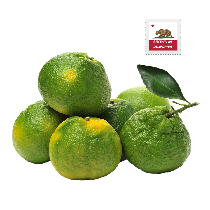 Green Satsuma Tangerines