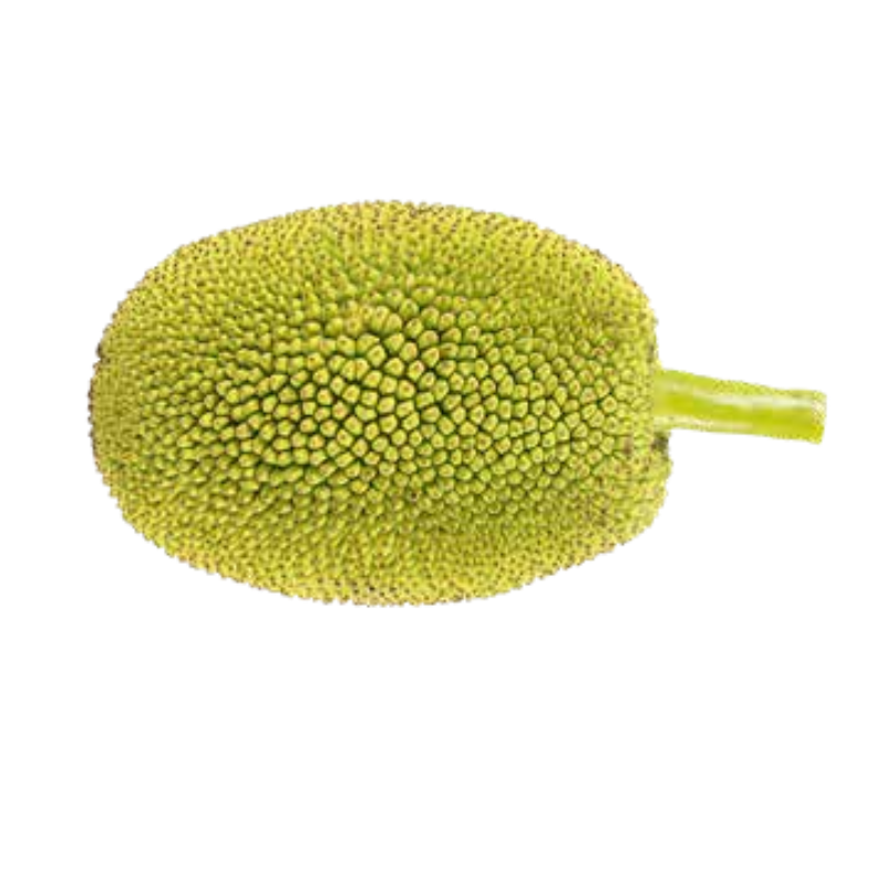 Jackfruit