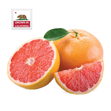 Jumbo Grapefruit
