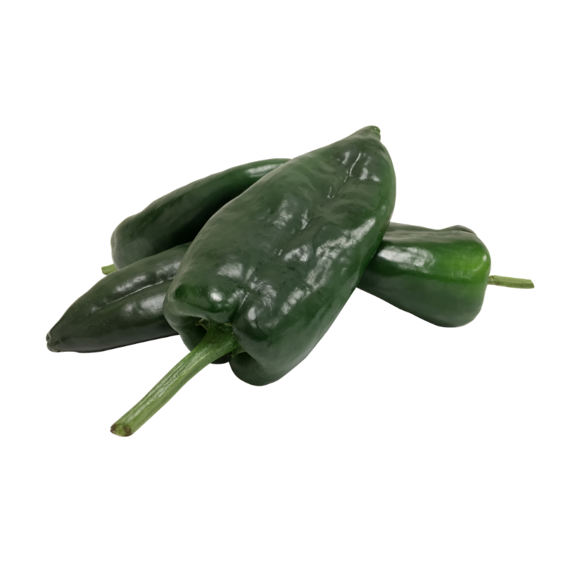 Pasilla Chile