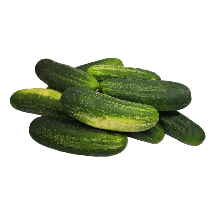 Pickling Cucumbers