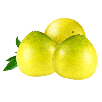 Pomelo