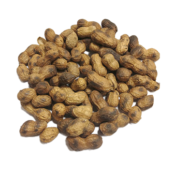 Roasted Peanuts