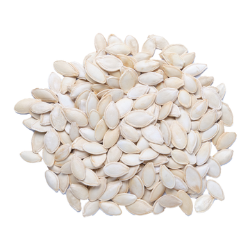 Squash Seeds Lightly Salted
