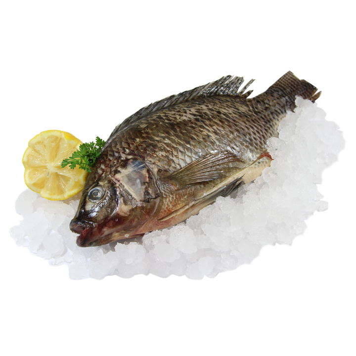 Whole Cleaned Tilapia