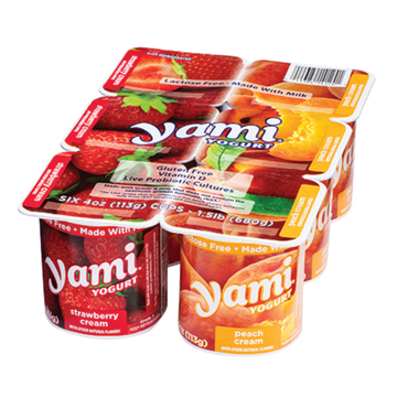 Yami Yogurt 6 Pk 4 oz