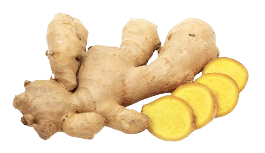 Ginger