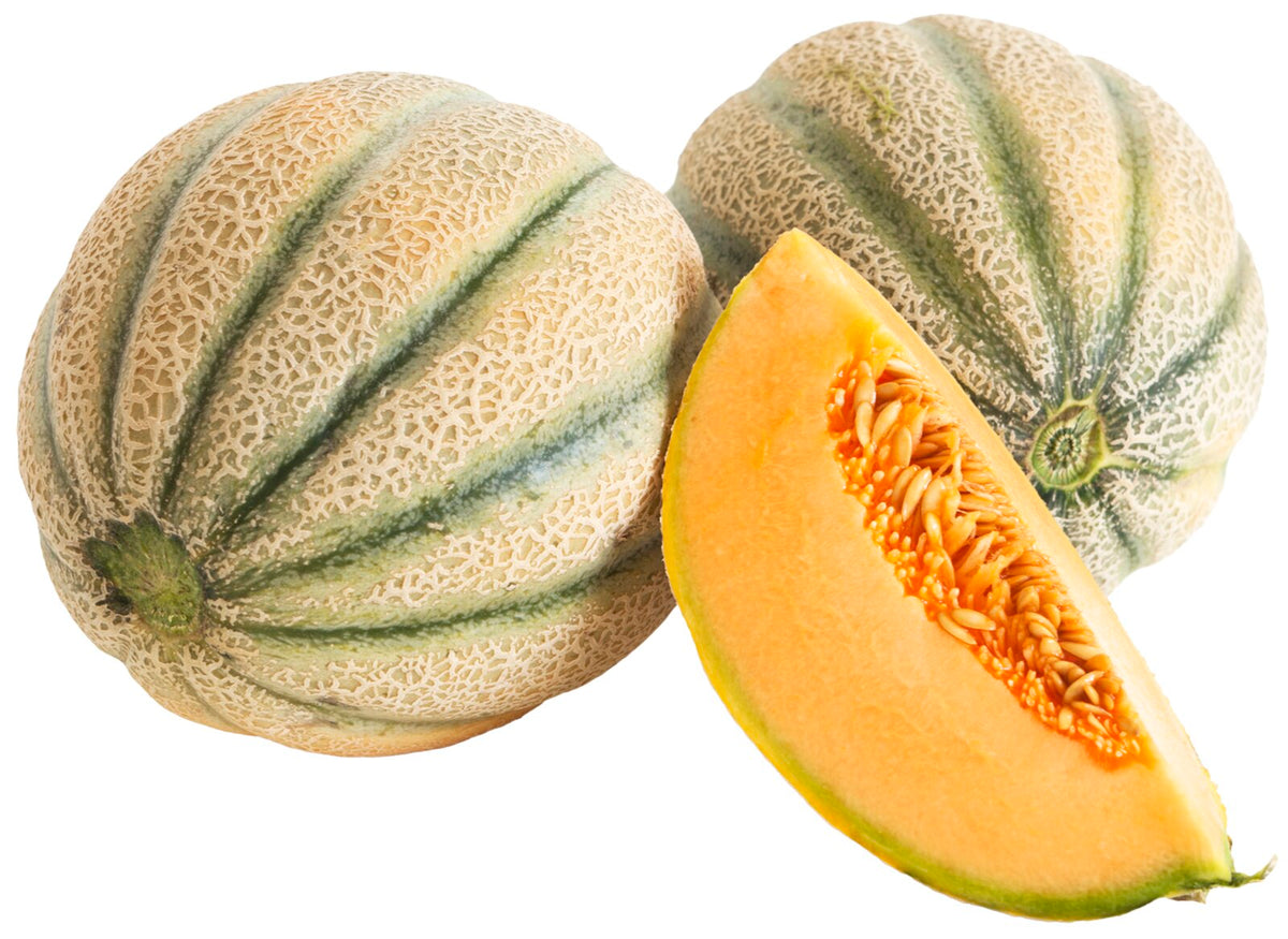 Tuscan Melon