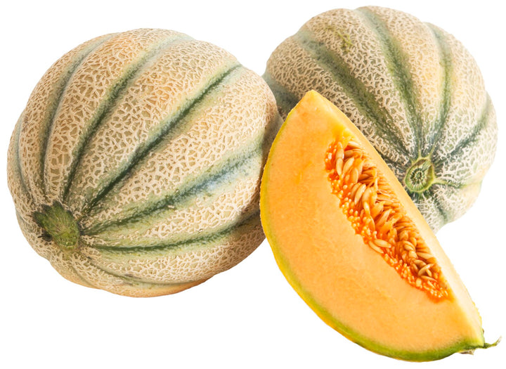 Tuscan Melon