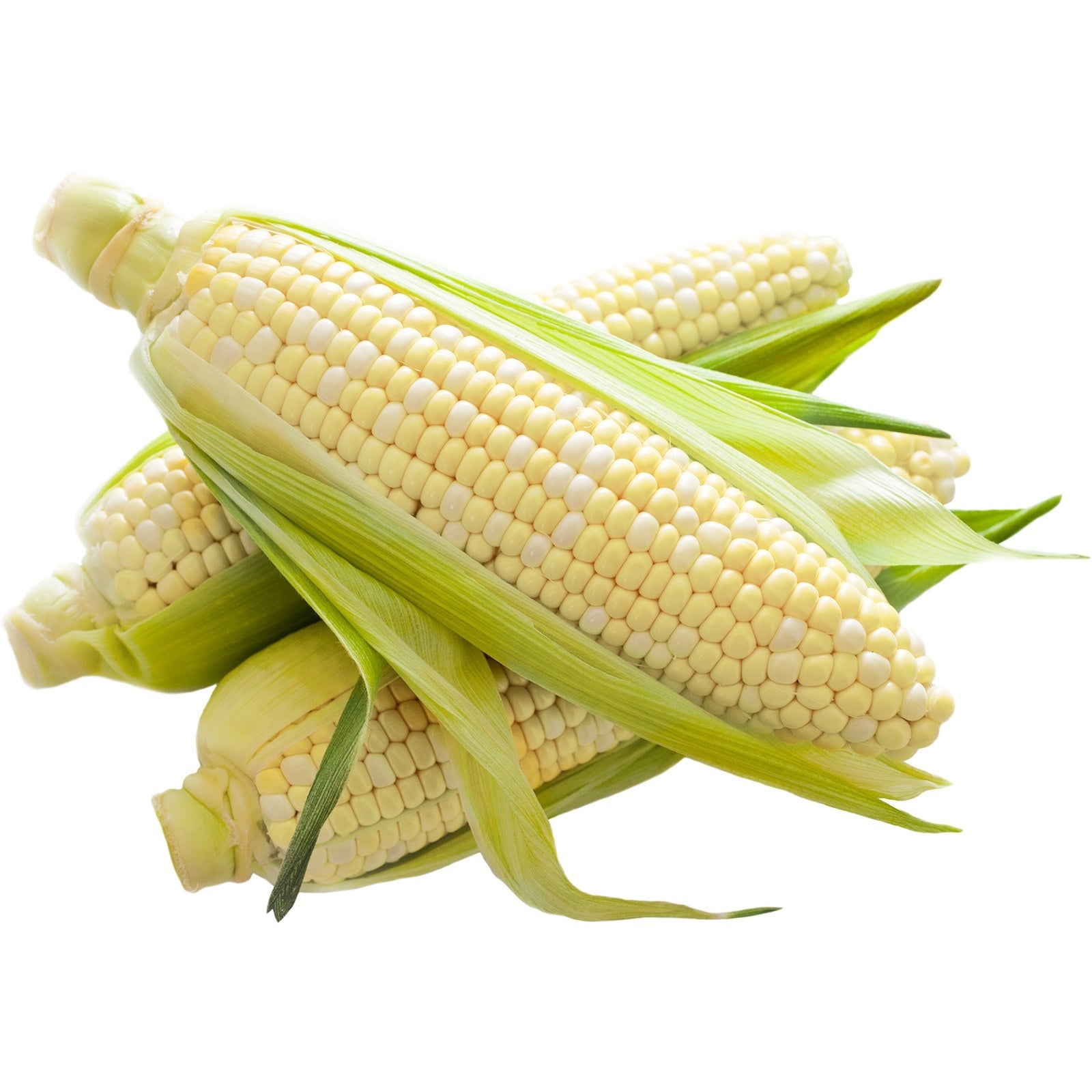 Fresh white corn on the cob in husks - Super King Markets Weekly Deals