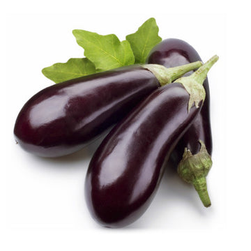 Large Eggplant