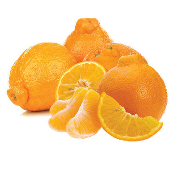 Minneola Tangerines